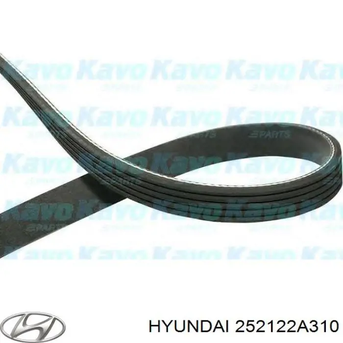Клиновый ремень Hyundai/Kia 252122A310 цена, от 20.05 USD
