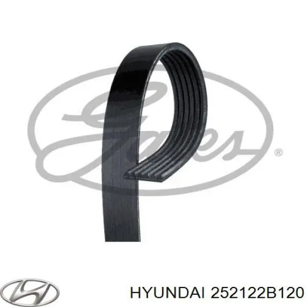 Ремень генератора 252122B120 Hyundai/Kia