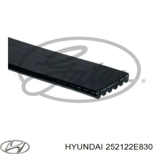 Ремень генератора 252122E830 Hyundai/Kia