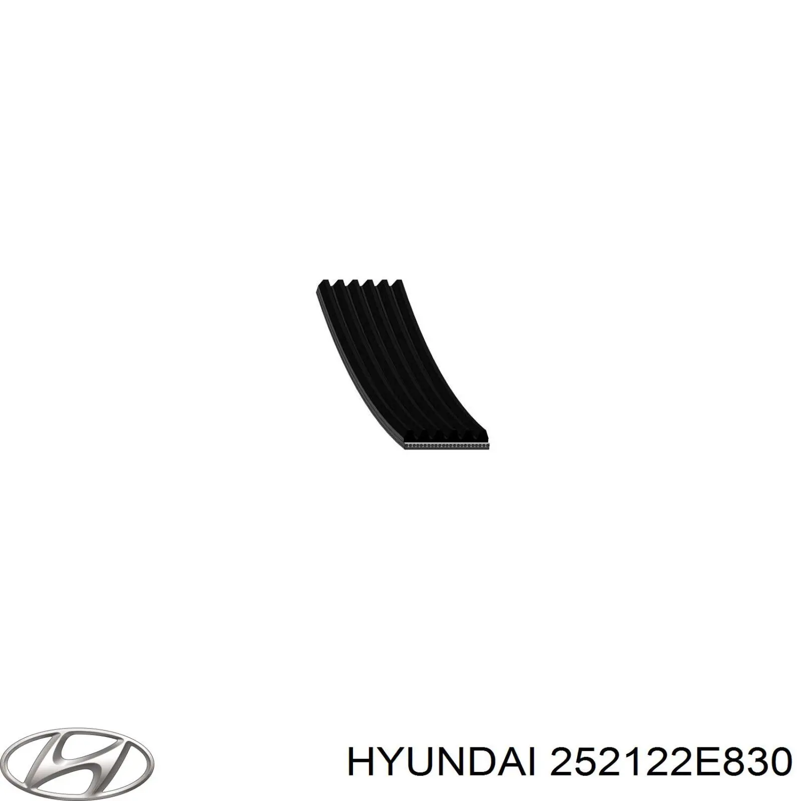 Купить 252122E830 Hyundai/Kia Ремень генератора