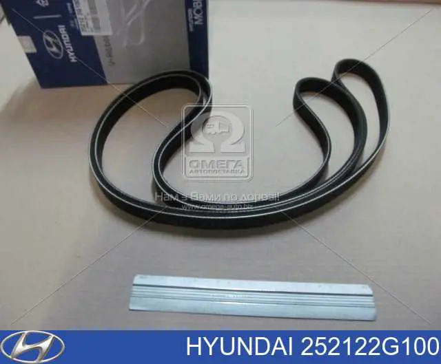 Купить 252122G100 Hyundai/Kia Ремень генератора