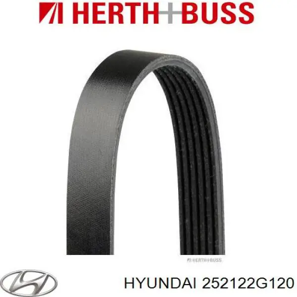 Купить 252122G120 Hyundai/Kia Ремень генератора