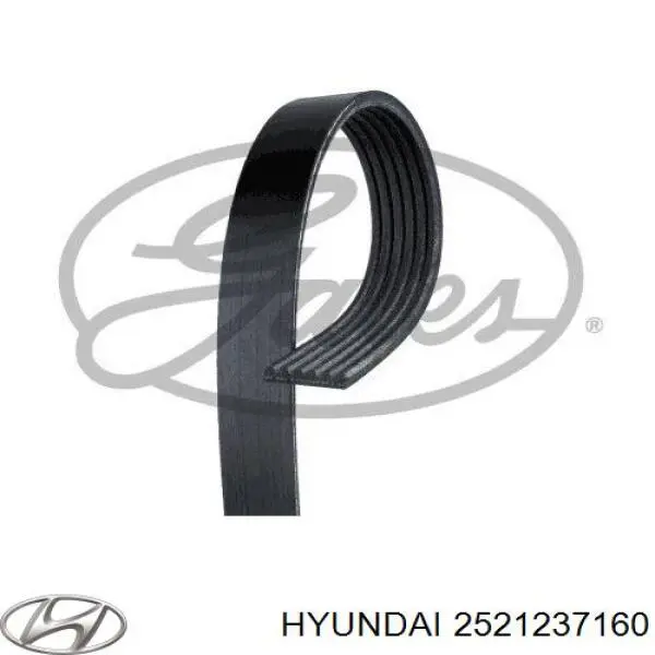 2521237160 Hyundai/Kia Поликлиновый ремень