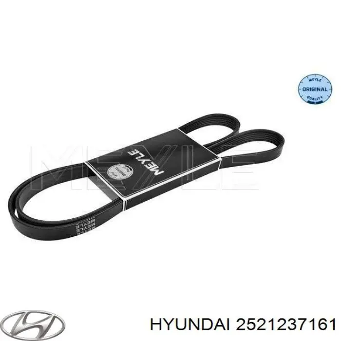 2521237161 Hyundai/Kia Поликлиновый ремень
