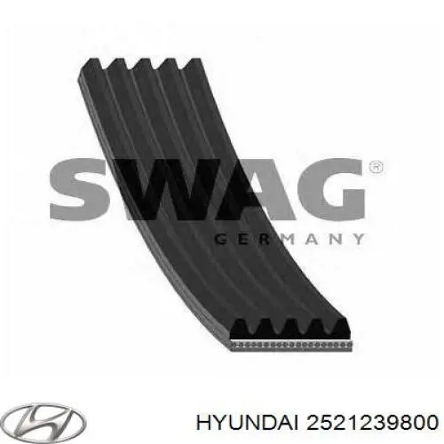 Клиновый ремень Hyundai/Kia 2521239800 цена, от 8.88 USD
