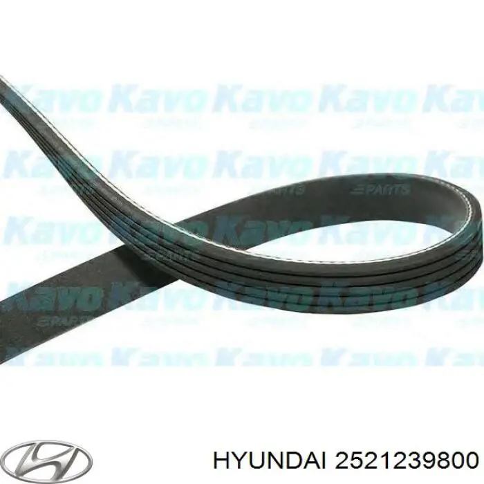Купить 2521239800 Hyundai/Kia Ремень генератора