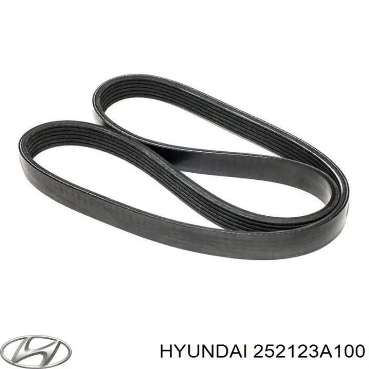 252123A100 Hyundai/Kia 