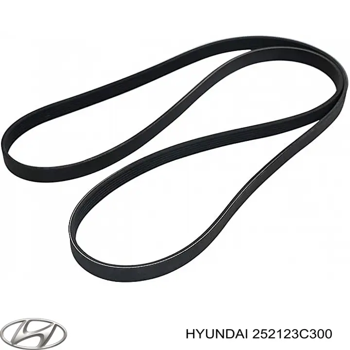 Correia dos conjuntos de transmissão 252123C300 Hyundai/Kia