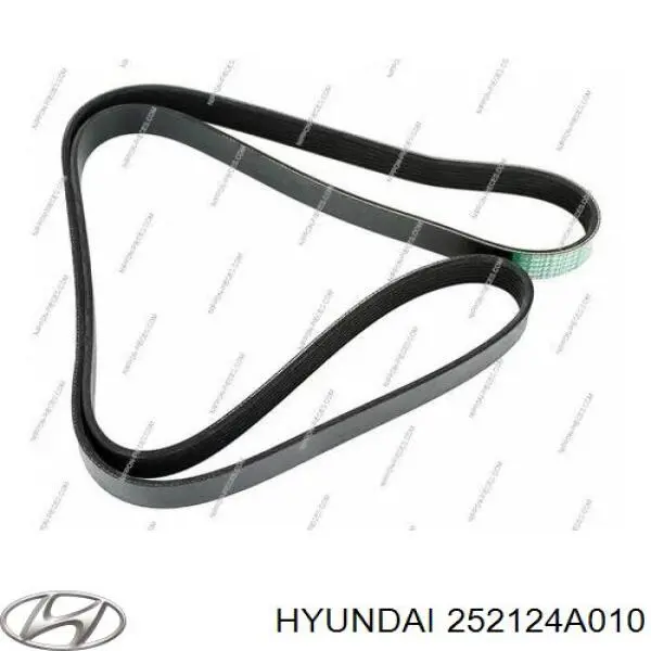 Ремень генератора 252124A010 Hyundai/Kia