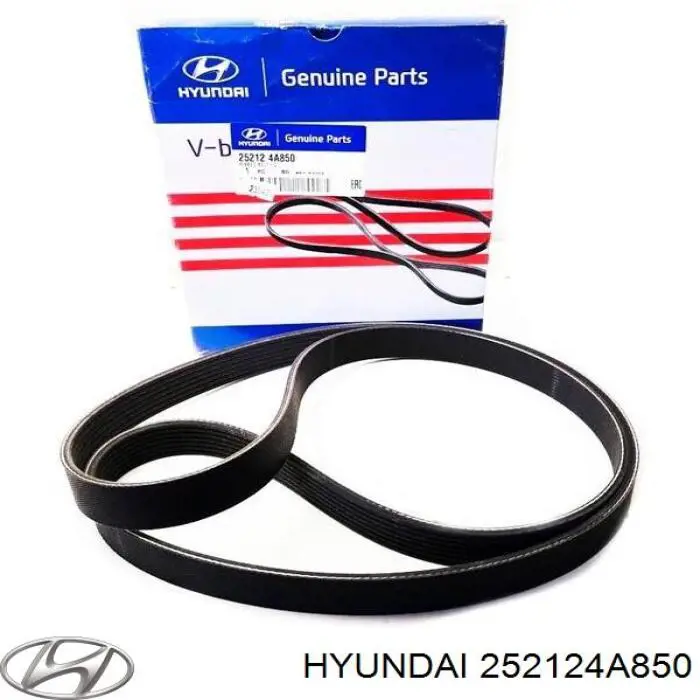 252124A850 Hyundai/Kia 