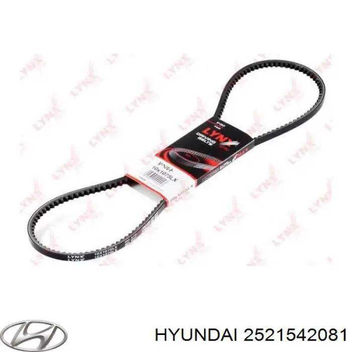2521542081 Hyundai/Kia correia dos conjuntos de transmissão
