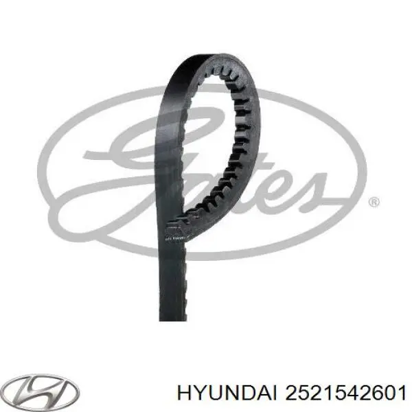 2521542601 Hyundai/Kia