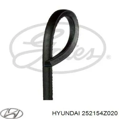 252154Z020 Hyundai/Kia ремень генератора