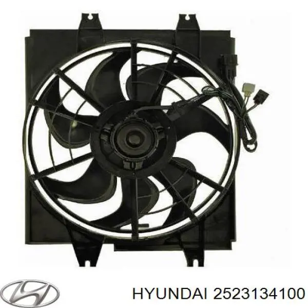  2523134100 Hyundai/Kia