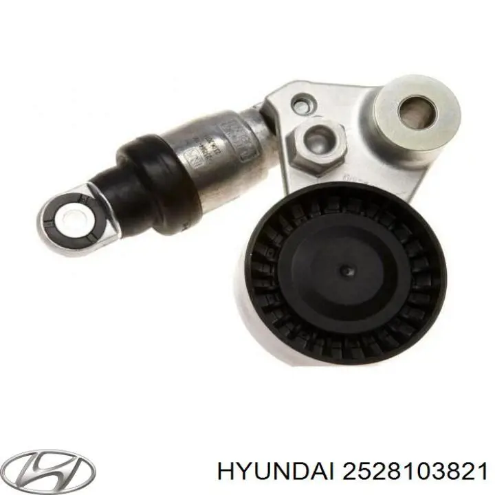 2528103821 Hyundai/Kia 