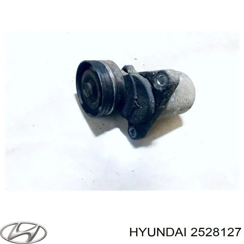  2528127 Hyundai/Kia