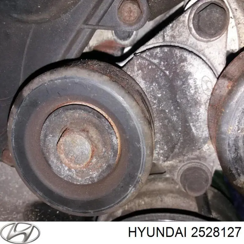  2528127 Hyundai/Kia