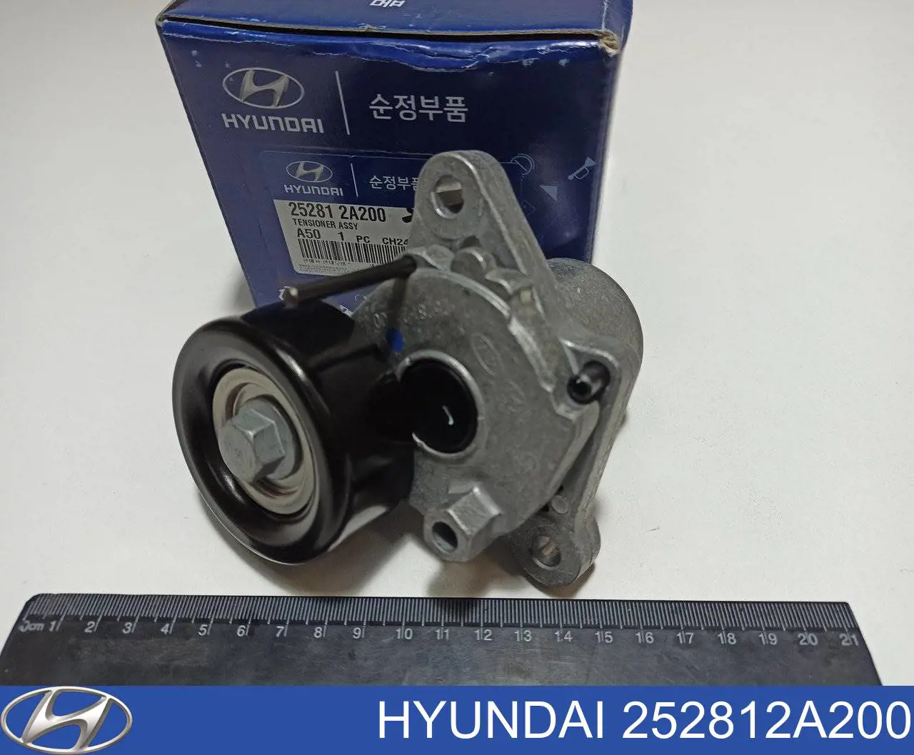 252812A200 Hyundai/Kia reguladora de tensão da correia de transmissão