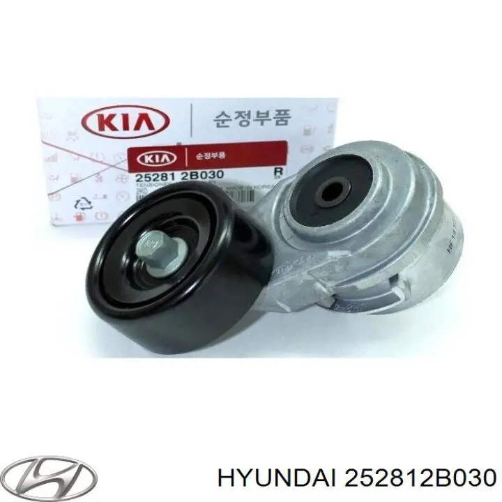 Reguladora de tensão da correia de transmissão 252812B030 Hyundai/Kia