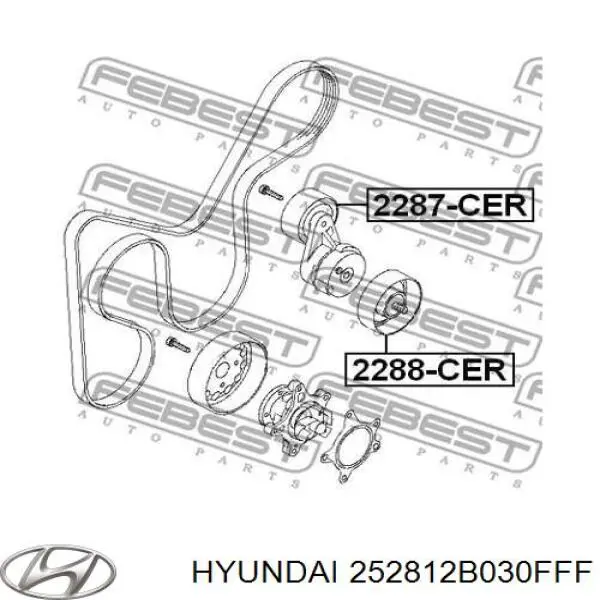 Ролик натяжителя приводного ремня Hyundai/Kia 252812B030FFF