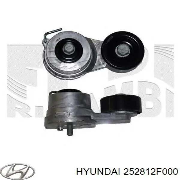 Роликовий модуль натяжителя ремня Hyundai/Kia 252812F000 цена, от 19.00 USD