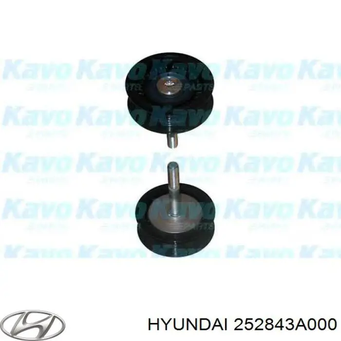 252843A000 Hyundai/Kia Ролик приводного ремня, паразитный