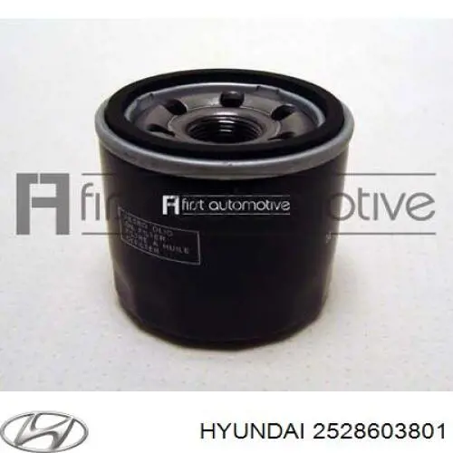 2528603801 Hyundai/Kia 