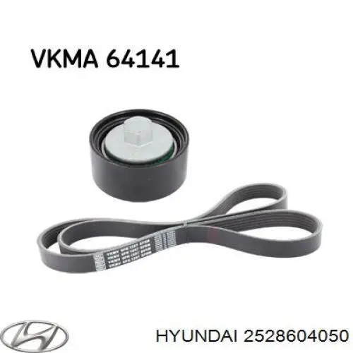 2528604050 Hyundai/Kia rolo parasita da correia do mecanismo de distribuição de gás