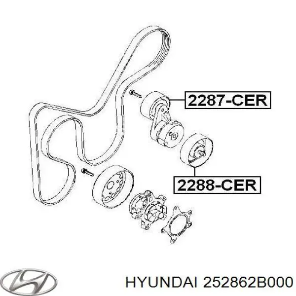 Ролик паразитный Hyundai/Kia 252862B000