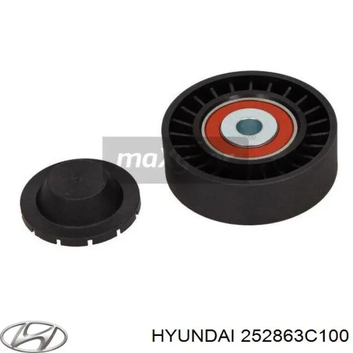 252863C100 Hyundai/Kia Ролик приводного ремня, паразитный