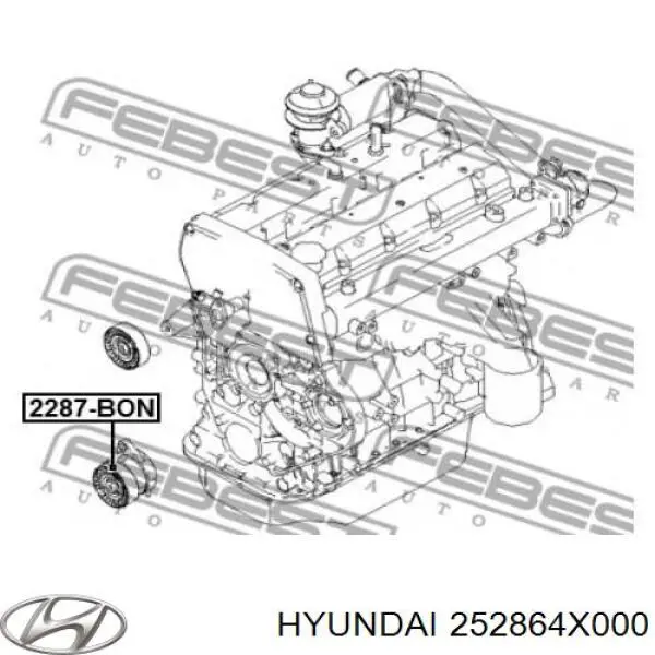 252864X000 Hyundai/Kia Ролик приводного ремня, паразитный