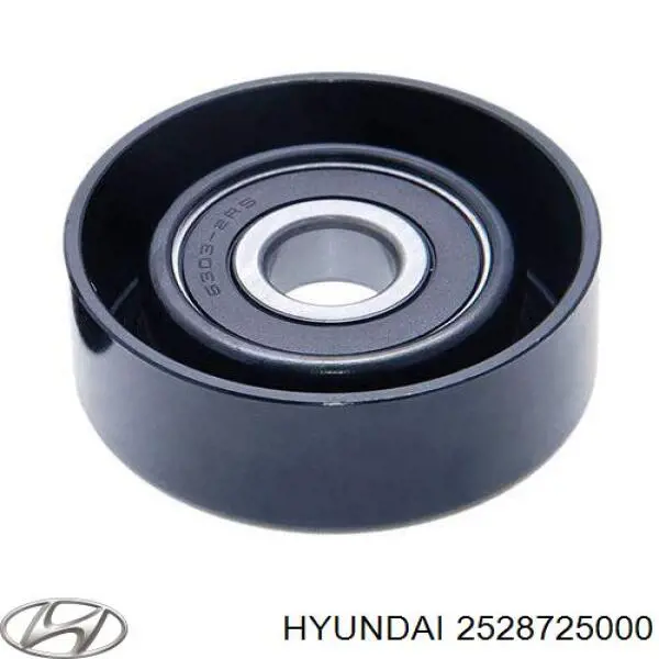 2528725000 Hyundai/Kia паразитный ролик