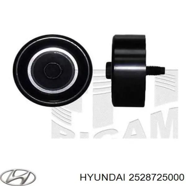 Ролик паразитный Hyundai/Kia 2528725000
