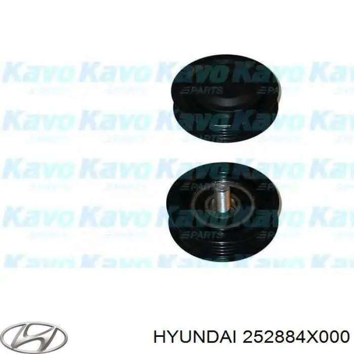 252884X000 Hyundai/Kia 