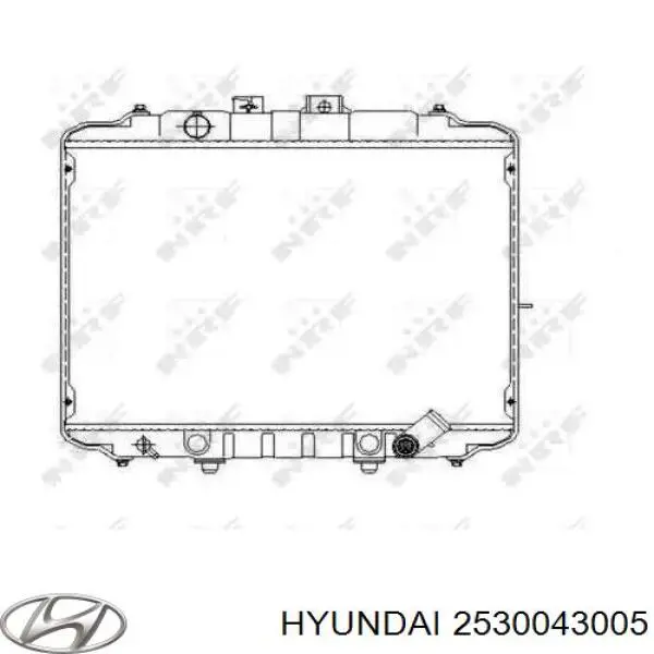 2530043005 Hyundai/Kia радиатор