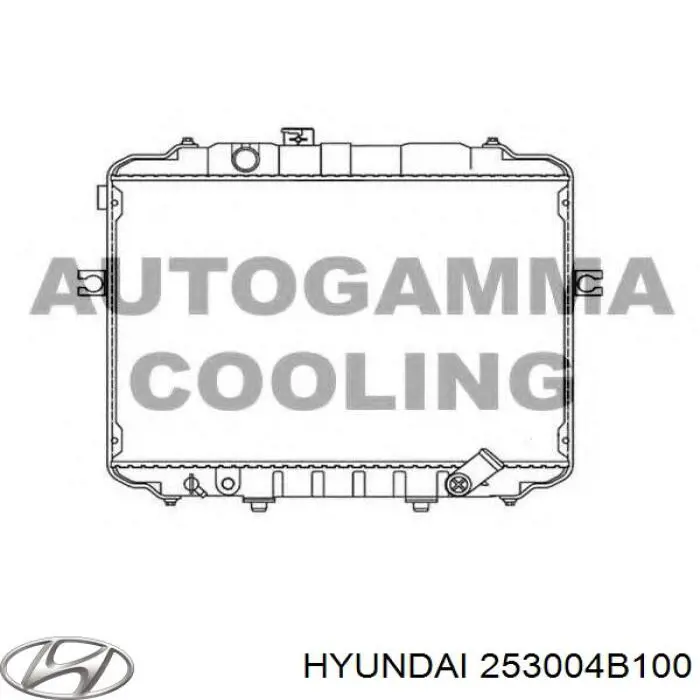 Радиатор 253004B100 Hyundai/Kia