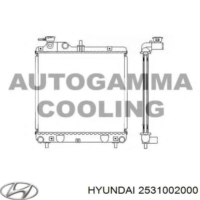 2531002000 Hyundai/Kia радиатор