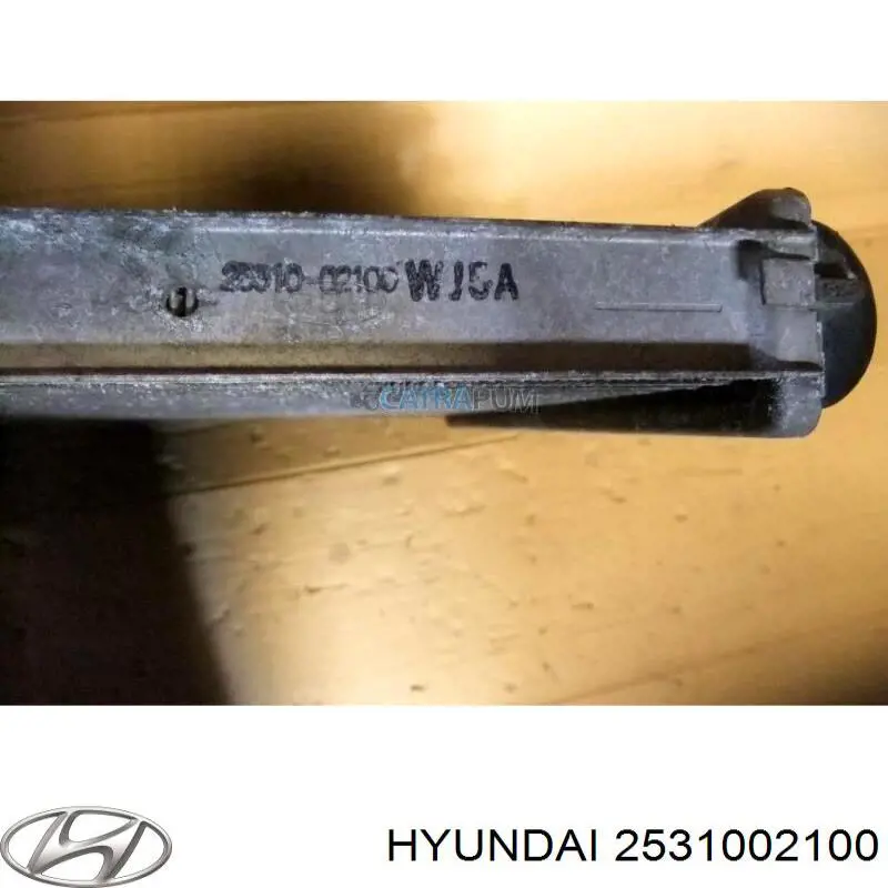 Купить 2531002100 Hyundai/Kia Радиатор водяной