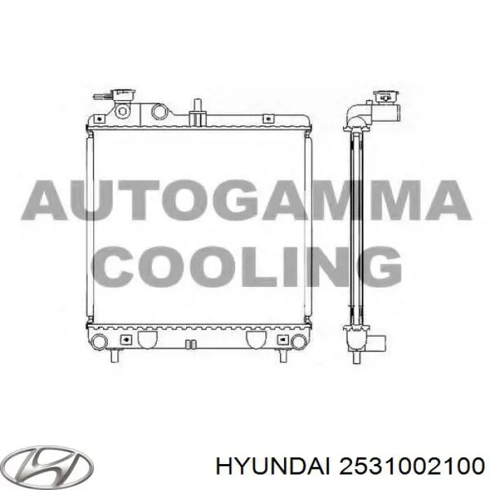 Радиатор охлаждения двигателя Hyundai/Kia 2531002100 цена, от 52.22 USD