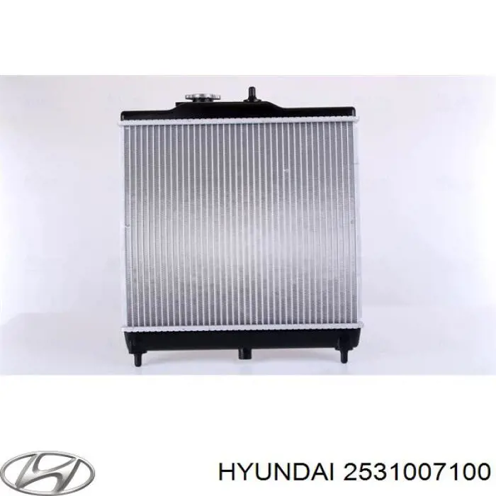 2531007100 Hyundai/Kia радиатор