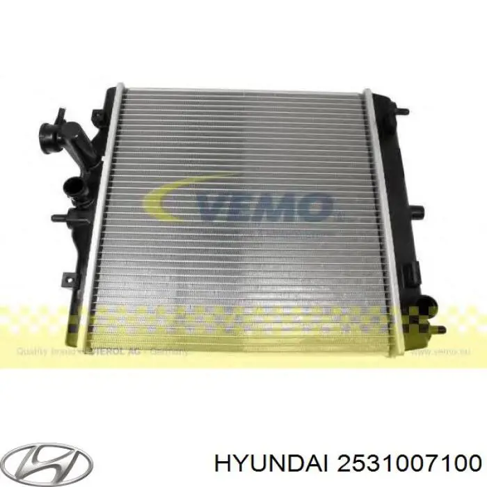 Купить 2531007100 Hyundai/Kia Радиатор водяной