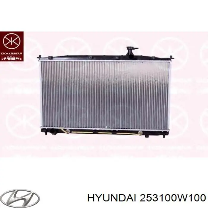 Радиатор 253100W100 Hyundai/Kia