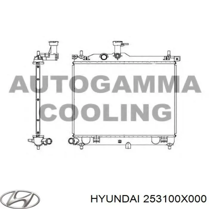 Радиатор охлаждения двигателя Hyundai/Kia 253100X000 цена, от 93.25 USD