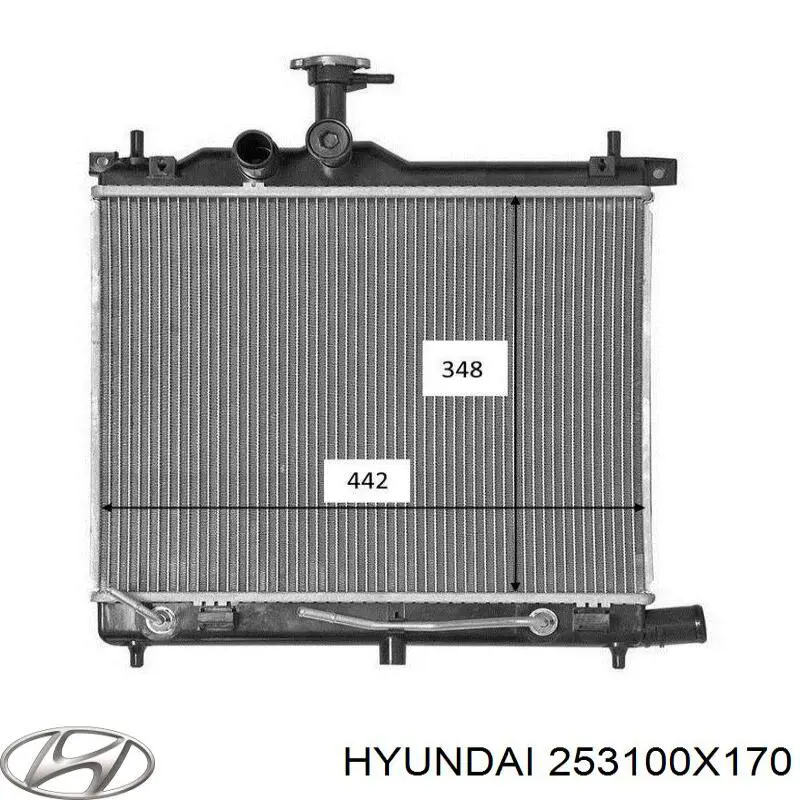 253100X450 Hyundai/Kia радиатор