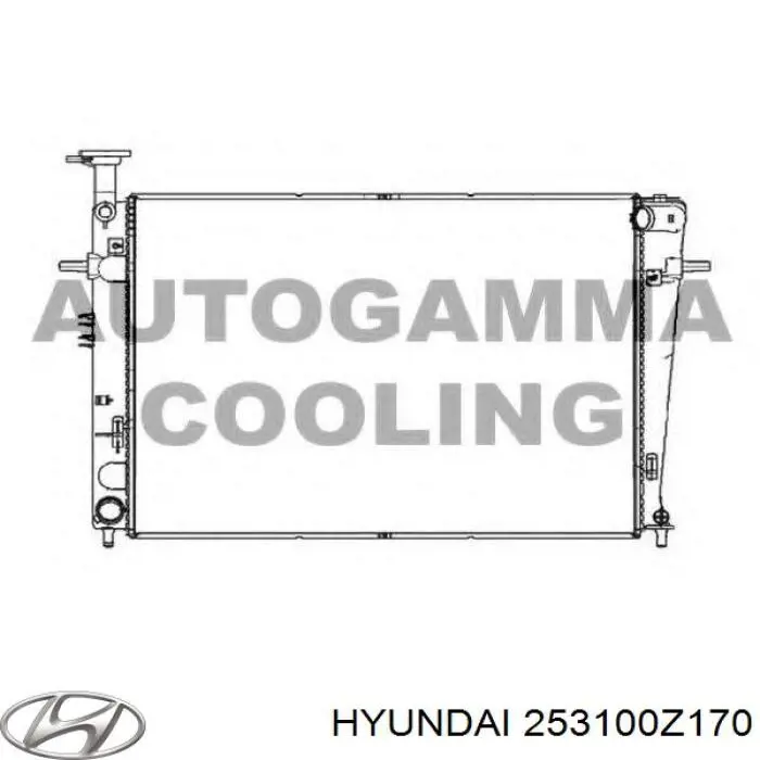253100Z150 Hyundai/Kia радиатор