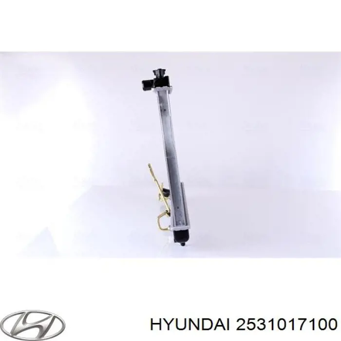 2531017100 Hyundai/Kia Радиатор основной