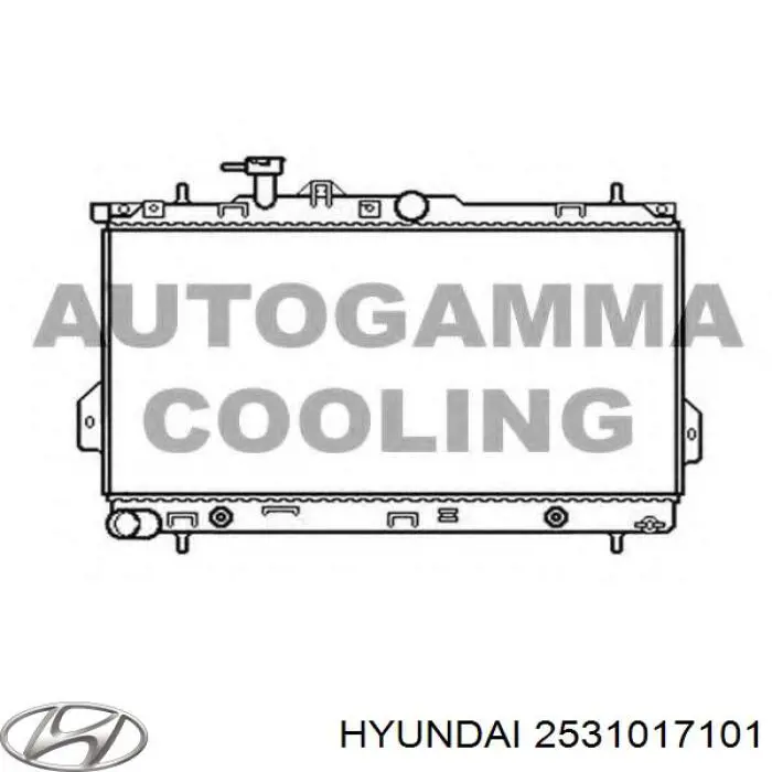 Радиатор охлаждения двигателя Hyundai/Kia 2531017101 цена, от 122.71 USD