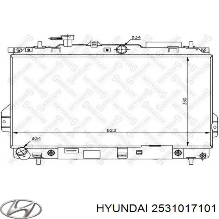 2531017101 Hyundai/Kia Радиатор основной