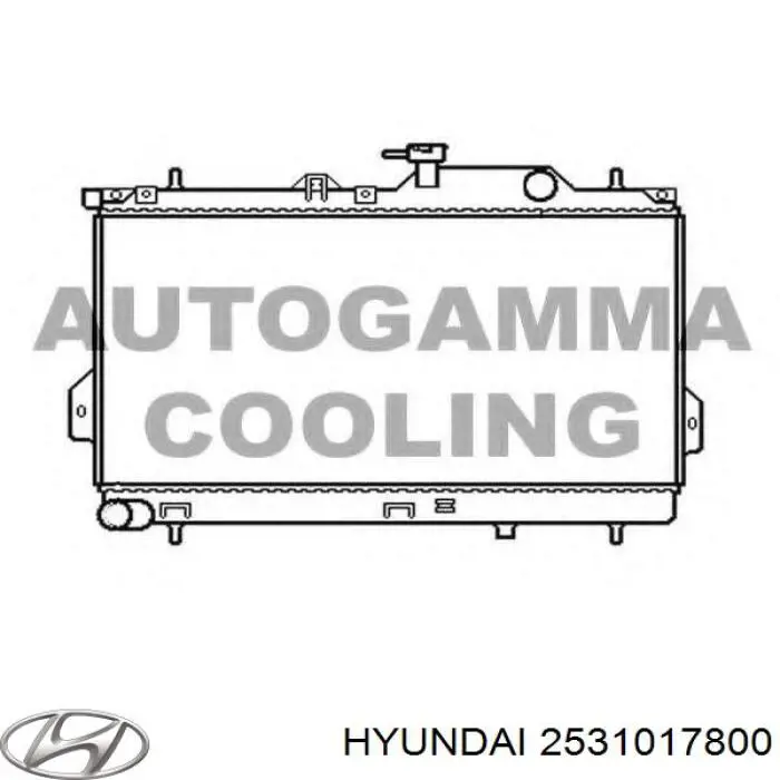 Купить 2531017800 Hyundai/Kia Радиатор водяной