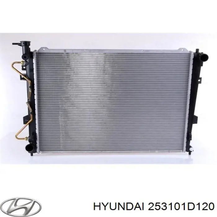 253101D120 Hyundai/Kia
